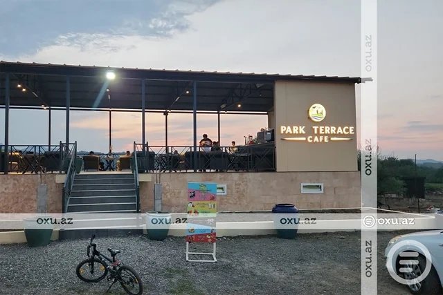 Masallıda restoran rəhbərliyi ağacların kökündən çıxarılmasına görə CƏRİMƏLƏNDİ - FOTO