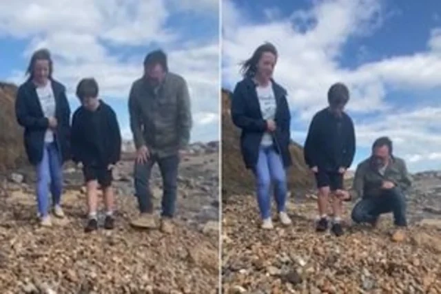 Norveçdə altı yaşlı uşaq 1300 illik vikinq qılıncı tapdı - FOTO