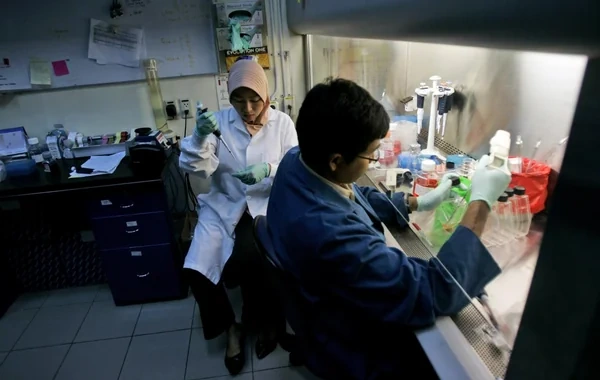 Cakartada hantavirus təhlükəsi: Təsdiqlənmiş yoluxma halları var
