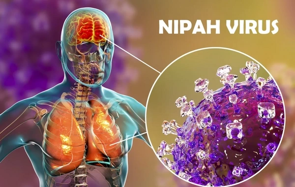 Hindistanda yeni yayılan Nipah virusunun əsas təhlükəsi nədir?