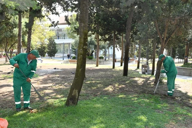 Bakıda növbəti irimiqyaslı iməcilik keçirilib - FOTO