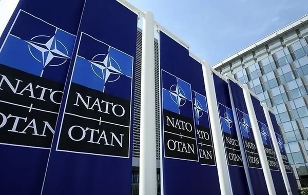 NATO Cənubi Qafqaz üzrə yeni xüsusi nümayəndə təyin etdi - FOTO