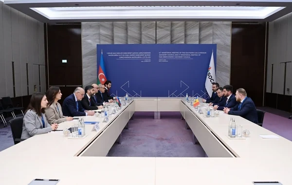 SOCAR-ın prezidenti Moldovanın energetika naziri ilə görüşüb