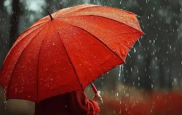 Sabah yağış yağacaq - 12.10.2026