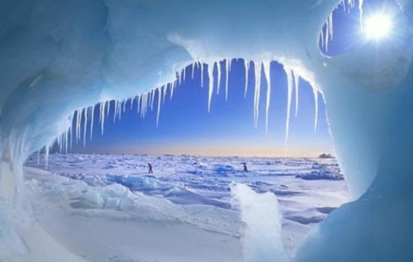 Arktikada havanın temperaturu rekord göstəricilərə çatıb
