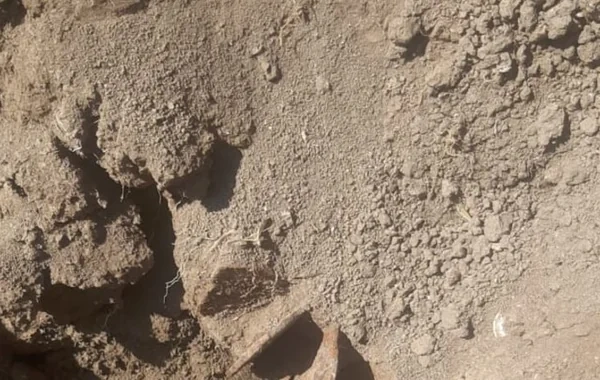 Ağdamda qazılan məzarda döyüş sursatı tapıldı