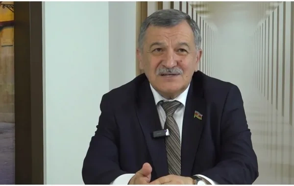 Aydın Mirzəzadə: "Ermənistan Azərbaycandan üzr istəməlidir"