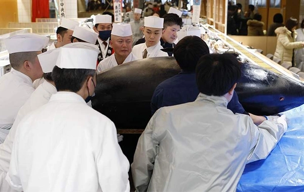 Yaponiyada tuna balığı hərracda rekord qiymətə satıldı