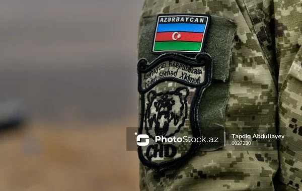 Zaqatalada dövlət sərhədini pozmağa cəhd edən nigeriyalı saxlanıldı - FOTO