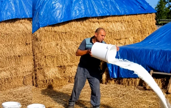 Fermerlər niyə məhsullarını aşağı qiymətə satmağa məcbur qalırlar? - Həll yolu nədir? - Foto