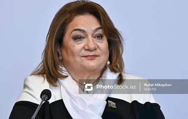 Komitə sədri: "Rəqəmsal dünyanın yalnız risklər deyil, həm də böyük imkanlar gətirdiyini başa düşmək vacibdir"