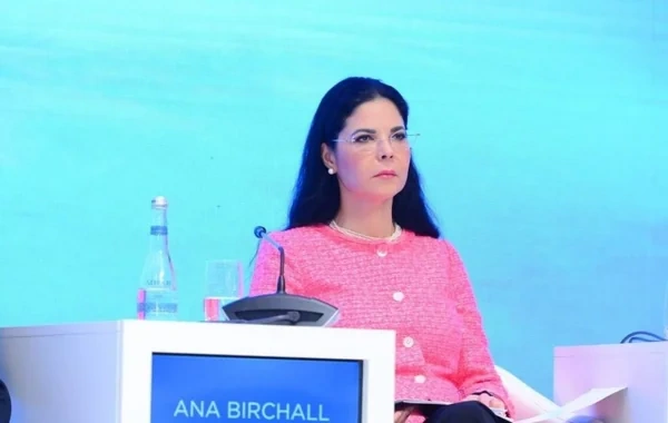 Ana Birçall İranın Naxçıvana hücumunu pislədi: "Münaqişə geniş regiona yayılır"