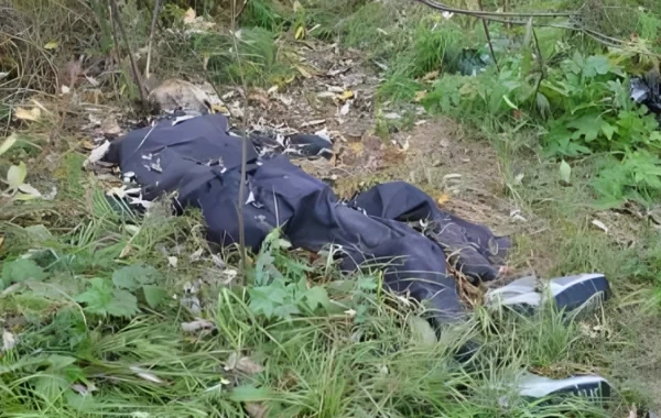 Salyanda dörd ay əvvəl itkin düşmüş kişinin meyiti tapıldı