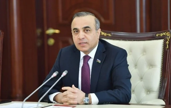 Deputatdan hərbi canilərlə bağlı çağırış: Effektiv mexanizmlər yaradılması təklifi - Video