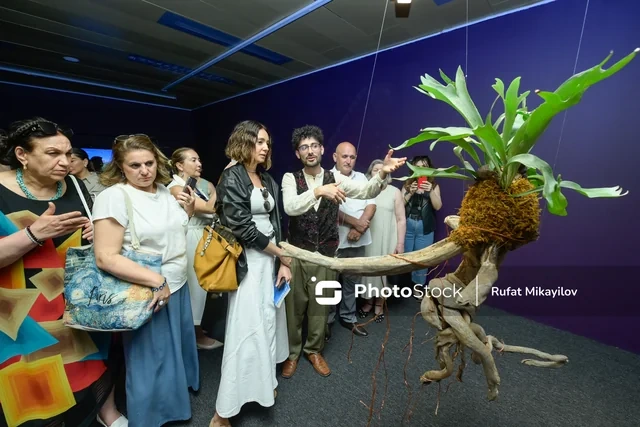 Elm və incəsənəti birləşdirən "Təbii intellekt" sərgisi tamaşaçıları düşündürməyə çağırır - FOTO