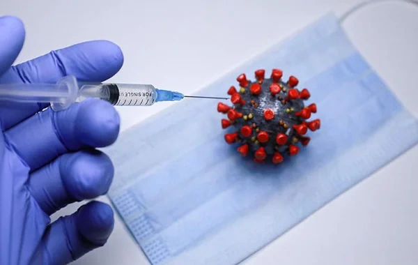 Hantavirusun təhlükələri və fəsadları: Mikrobioloq infeksiyanın yayılma risklərindən danışdı