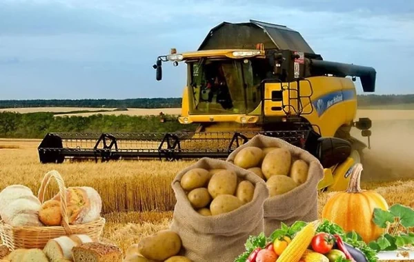 Əkinçilik və heyvandarlıqla məşğul olanların nəzərinə - Yeni qaydalar müəyyənləşir