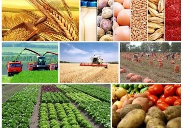 Azərbaycan iqtisadiyyatında DİQQƏTÇƏKƏN RƏQƏMLƏR: Gəlirlər artır, xarici borc azalır - FOTO