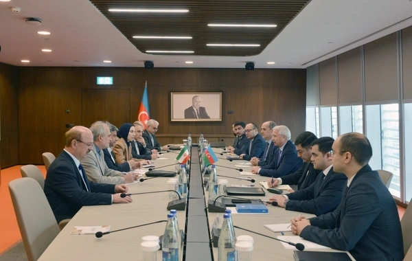 İqtisadiyyat nazirinin müavini İranın Ərdəbil vilayətinin valisi ilə görüşüb