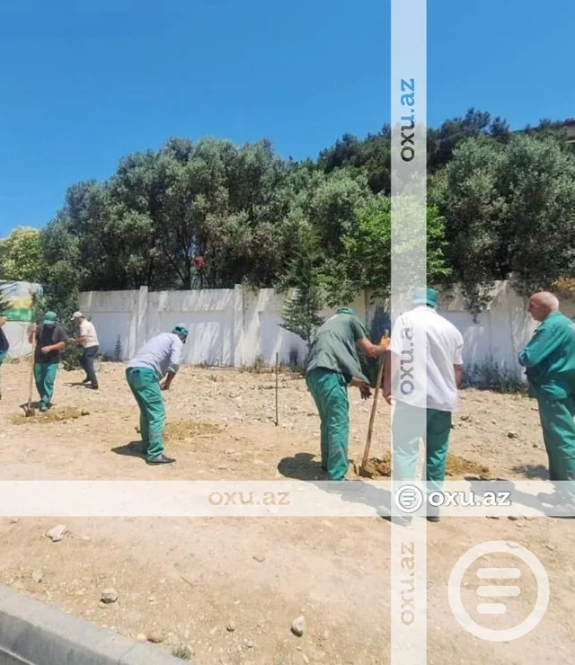 Yasamalda yaşıllığın məhv edilməsi iddiasına RƏSMİ CAVAB - FOTO - VİDEO