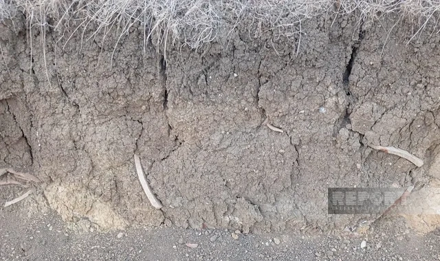 Cəlilabadda yol tikintisi zamanı minilliklər əvvələ aid saxsı qablar tapıldı - FOTO