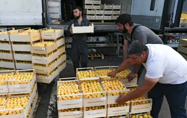 Rusiya Ermənistandan növbəti məhsulların idxalına qadağa qoydu