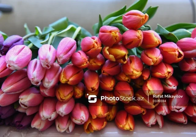 Tarixin izi ilə: 8 Mart - Beynəlxalq Qadınlar Günü