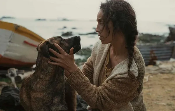 Kann Film Festivalında ən yaxşı it roluna görə mükafat verilib