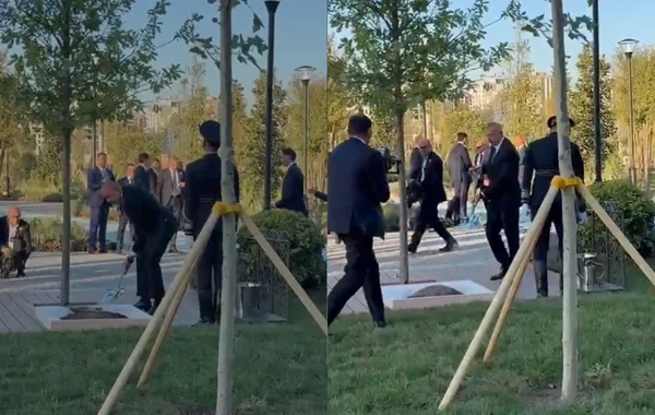 İlham Əliyev və Şavkat Mirziyoyev "Yeni Daşkənd"də ağac əkdilər - VİDEO