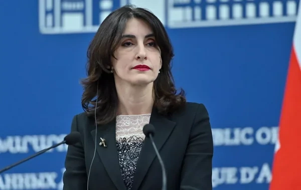 Gürcüstanlı nazir: "Tramp marşrutu" region üçün yaxşı haldır"