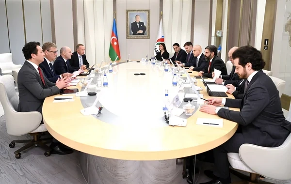 SOCAR-ın rəhbəri "Wood" şirkətinin icraçı prezidenti ilə görüşüb