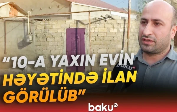 Həyətlərini qurbağalardan sonra ilanlar basan sakinlər təşvişdə - VİDEO