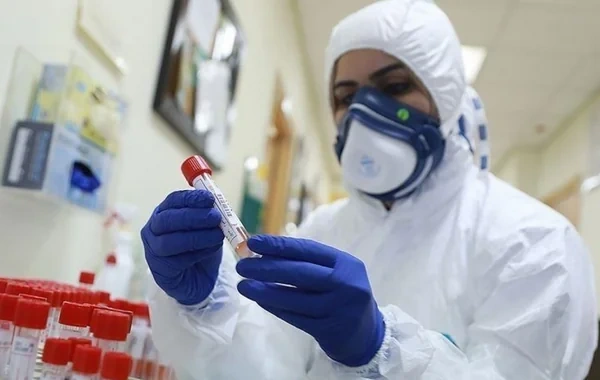 Hantavirus COVID-19-dan təhlükəlidir? – Alimdən AÇIQLAMA