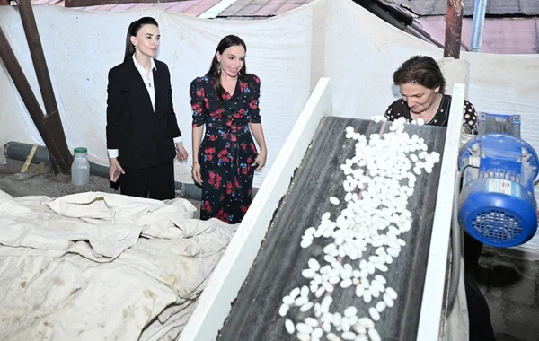 Leyla Əliyeva "Azəripək" ASC-nin fəaliyyəti ilə yaxından tanış olub - FOTO