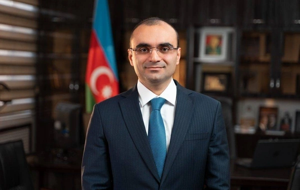 Nəsimi rayonunun icra başçısı vəzifəsindən azad edilib