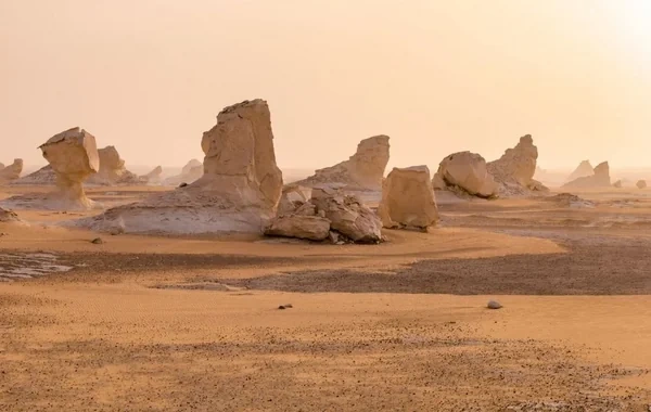 Misir səhrasının sirri açıldı: Milyonlarla il əvvəl burada nə olub? - FOTO