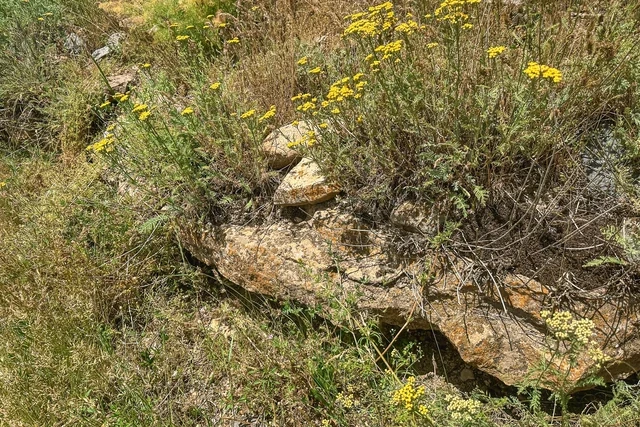 Qərbi Azərbaycanın yaddaş xəritəsi: Zəngəzurun Qıvraq kəndi - Foto/Video