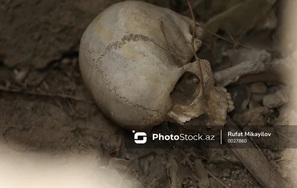 Xocavənddə neandertal insana aid daha bir qalıq tapılıb