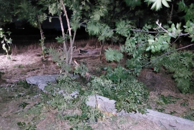 Masallıda ağır QƏZA: Ölənlər və yaralananlar var - FOTO