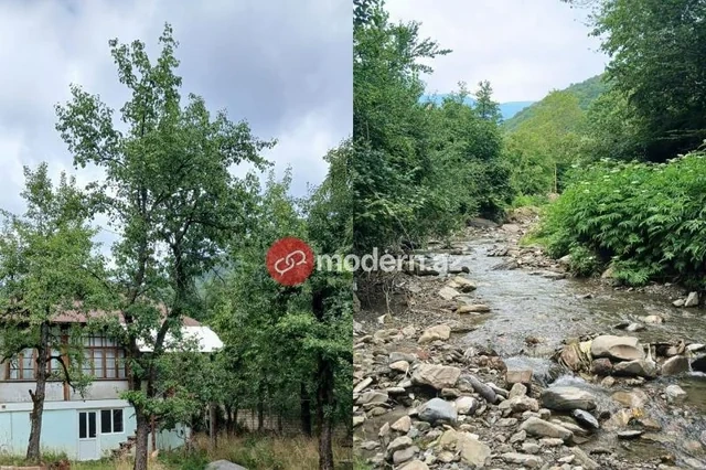 Polad Həşimovun çoxlarının bilmədiyi uşaqlığı - əmisi oğlu ilk dəfə açıqladı - FOTO