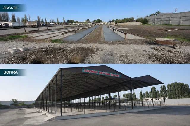 Daha bir ərazidə heyvan satışı bazarı fəaliyyətini bərpa edib - FOTO
