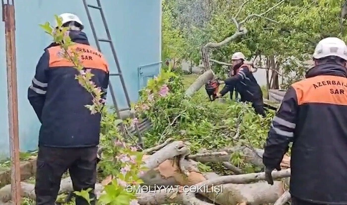 Yağış və güclü küləyin fəsadları aradan qaldırılır - Video