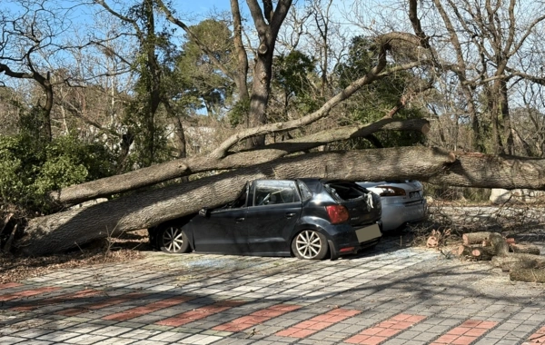 Fransada qasırğa tüğyan edir: Milyona yaxın ev elektriksiz qalıb