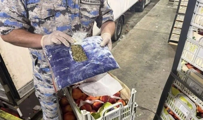 Rusiyaya gedən şaftalı yükündən 51 kq marixuana çıxdı - Foto
