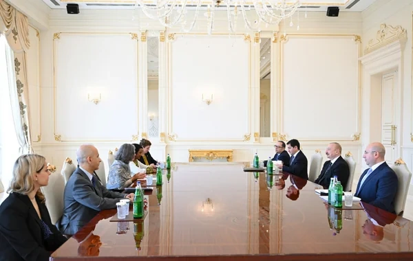 Prezident İlham Əliyev BMT-nin Məskunlaşma Proqramının icraçı direktorunu qəbul edib - FOTO