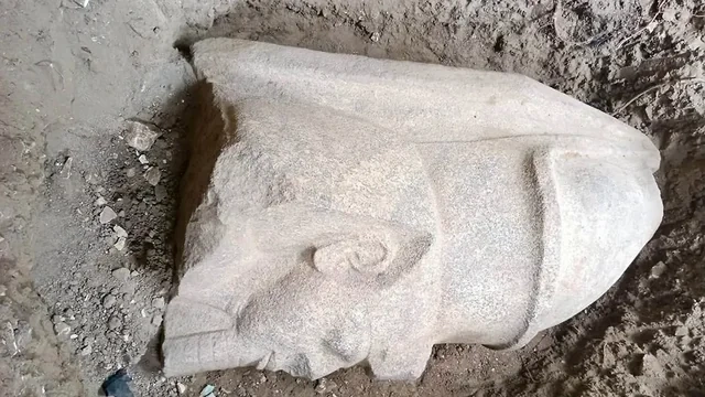 Misirdə tarixi kəşf: Fermer mükafatlandırıldı - Foto