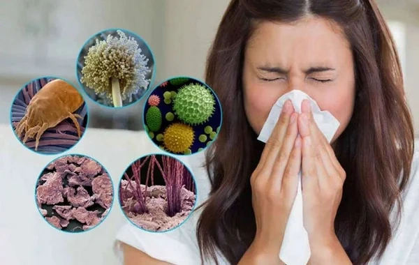 Allergiyanız varmı? - Simptomlar, testlər və qorunma yolları