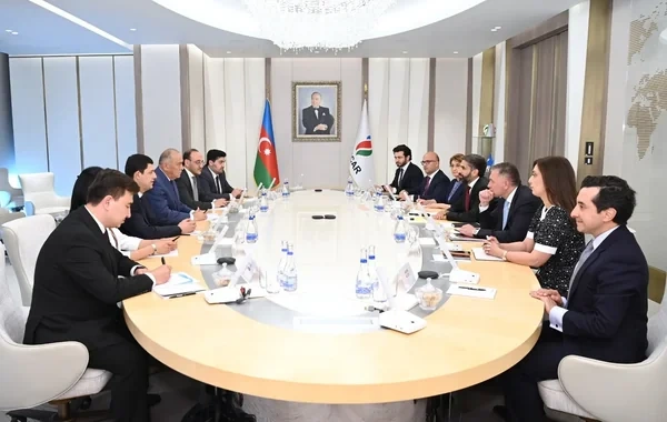 SOCAR "Uzbekneftegaz" şirkəti ilə əməkdaşlıq perspektivlərini müzakirə edib