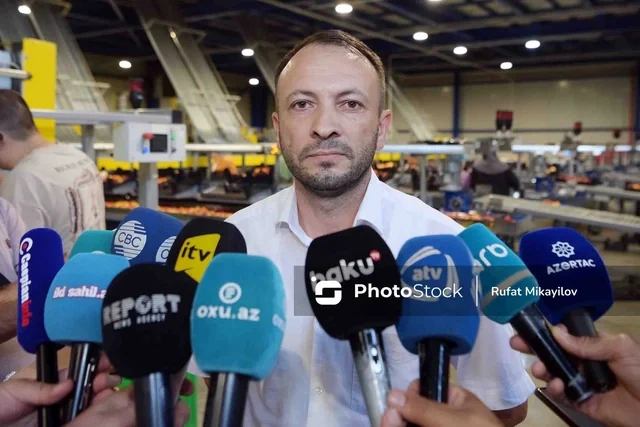 100 hektar yeni bağ, minlərlə ton məhsul: Şimal regionun aqrar potensialı artır - FOTO - VİDEO