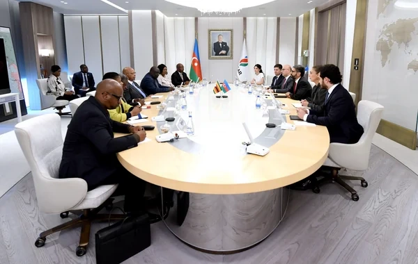 SOCAR-ın prezidenti Zimbabve Respublikası Milli Assambleyasının sədri ilə görüşüb - FOTO